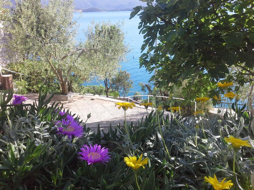 Apartments Mediteraneo Klek Eksteriør bilde
